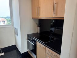 The Hermitage (D10), Apartment #532103961